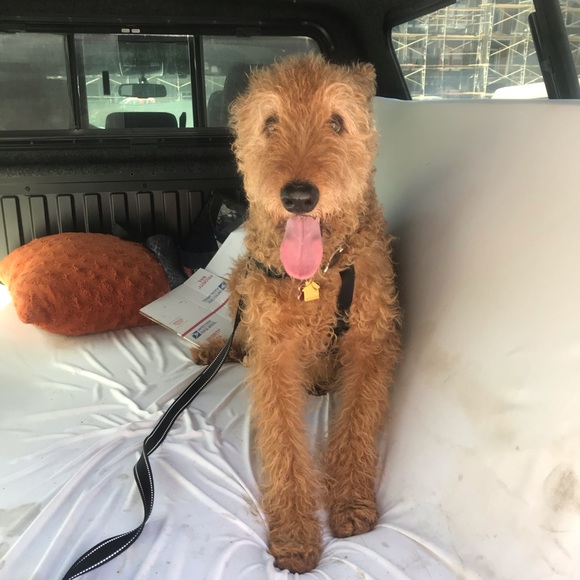 I’m Carlie, welcome to my Closet 💗 - Picture 2 of 4